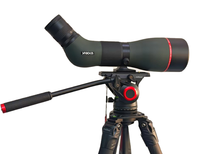 百灵LARK 20-60x85 APO